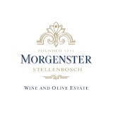 Morgenster Logo 01 blue gold on white2