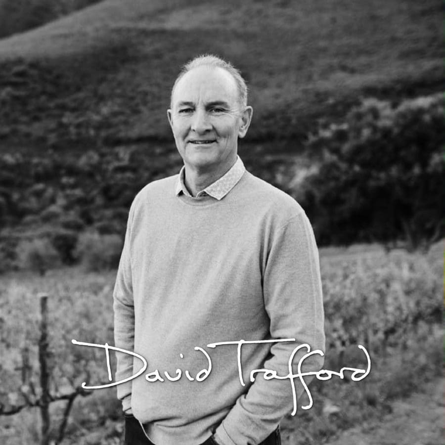 David Trafford in vineyard, showcasing Stellenbosch wine expertise.