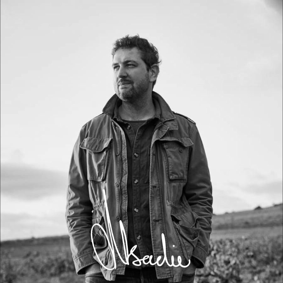 Winemaker standing in Stellenbosch vineyard, showcasing South African wine culture for the CWG David & Nadia Veiling Chenin Blanc 2023