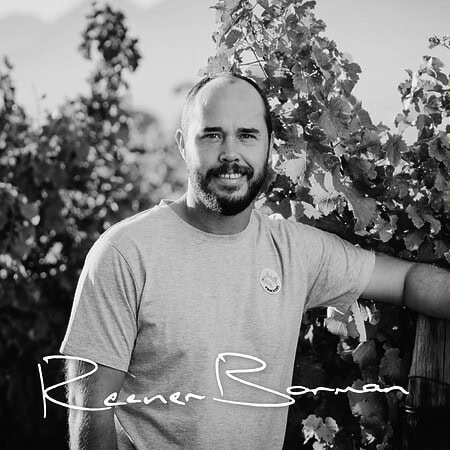 Vintner Raener Borman among Stellenbosch vineyards, showcasing South African wine culture.