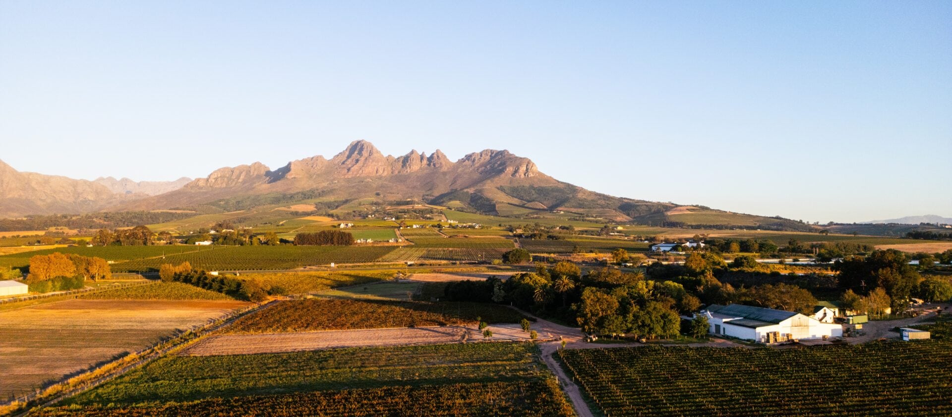 Somerbosch & Simon Wine Emporium Competition 1 DJI 0092